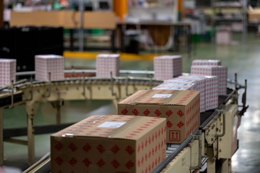 Our value chain